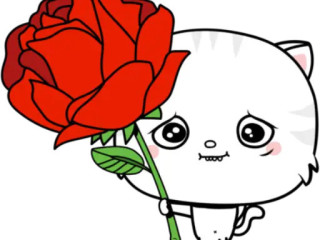 cherche-passif-black