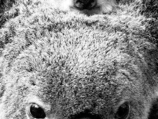 plan-suce-cool-recois-discret