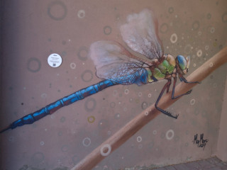 envie-de-rencontre-sexe