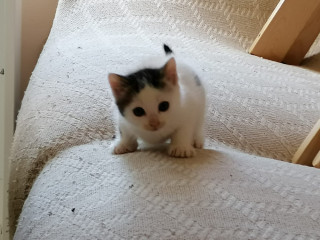 evasion-pour-femme-ou-couple