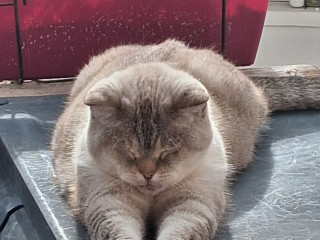 mature-passif-cherche-actif-qui-recoit