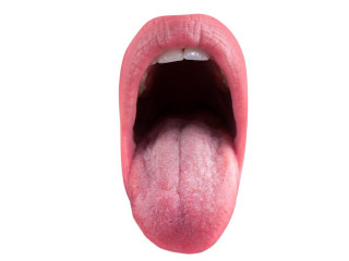 langue-experte-pour-vous-mesdames