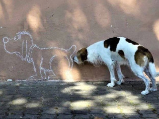 lope-mature-a-dresser