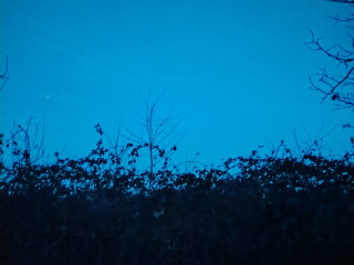 couple-bi-pour-cpl-bi-ou-hommebi