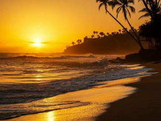 dominant-pour-soumise-passionnee-tunis