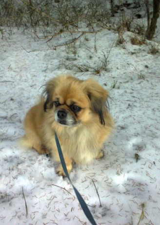 recherche-dominateur-trice-ou-couple-big-0