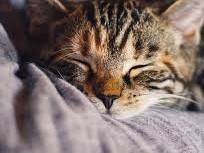 jeune-homme-recherche-rencontre