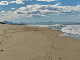 suis-passif-uniquement-et-pour-actif-uniquement-je-recois-homme-jeune-moi-excellent-pompeur-et-bon-bouffeur-de-cul-hygiene-impeccable-indispensable