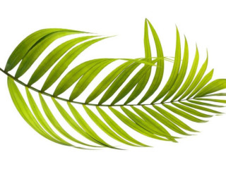 cherche-plan-en-toute-discretion